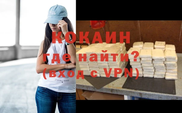индика Новозыбков