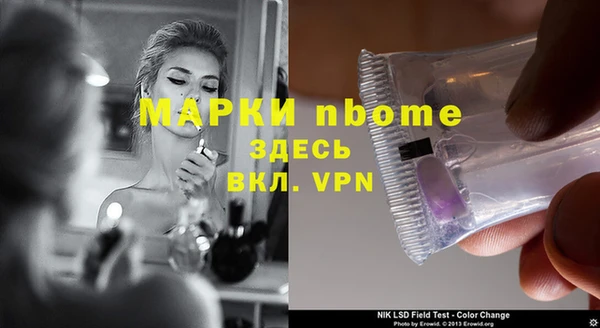 индика Новозыбков