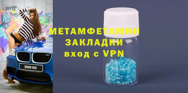индика Новозыбков