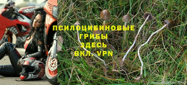 гидропоника Фёдоровский