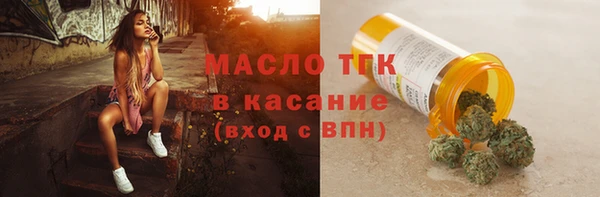 индика Новозыбков