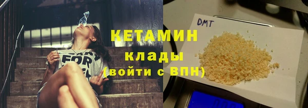 индика Новозыбков