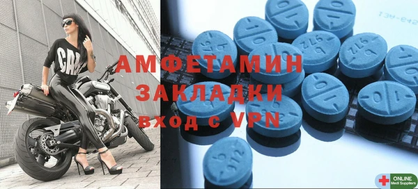 индика Новозыбков
