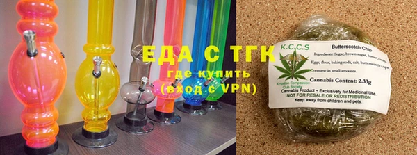 индика Новозыбков
