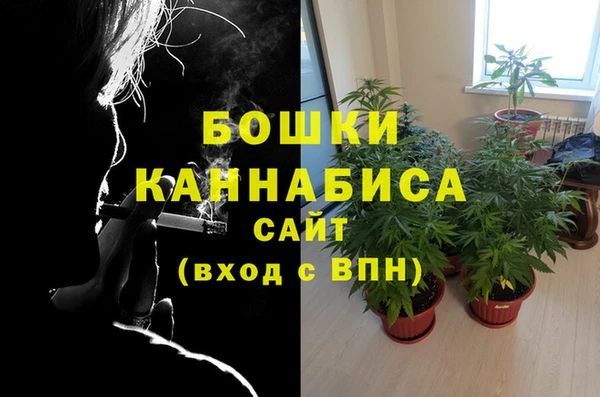 MESCALINE Новодвинск