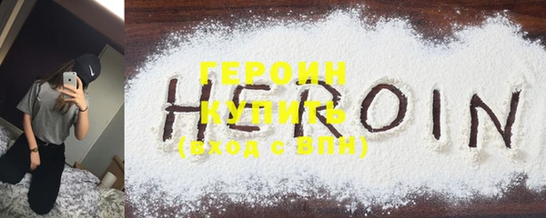 индика Новозыбков