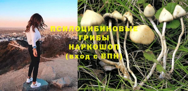 MESCALINE Новодвинск