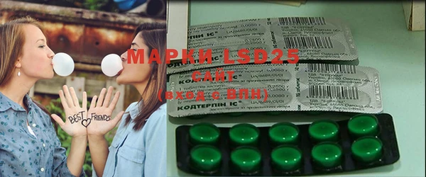 индика Новозыбков
