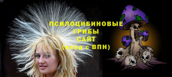 индика Новозыбков