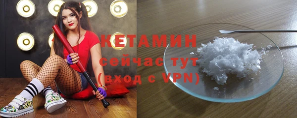 индика Новозыбков