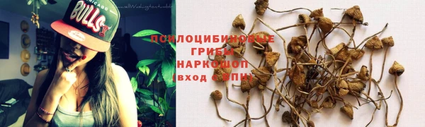 винт Калининец