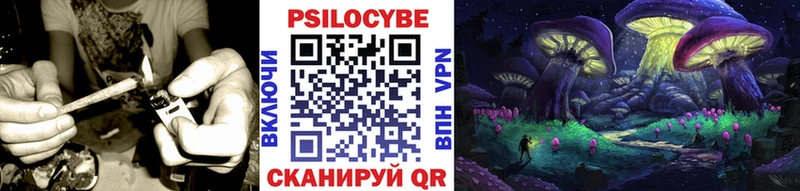 Галлюциногенные грибы Magic Shrooms  Купить закладки  Конаково 