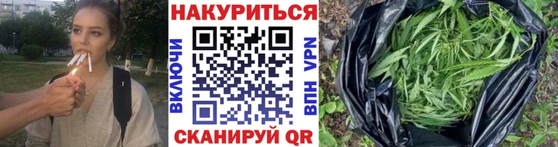 Бошки Шишки семена  Купить закладки  Конаково 